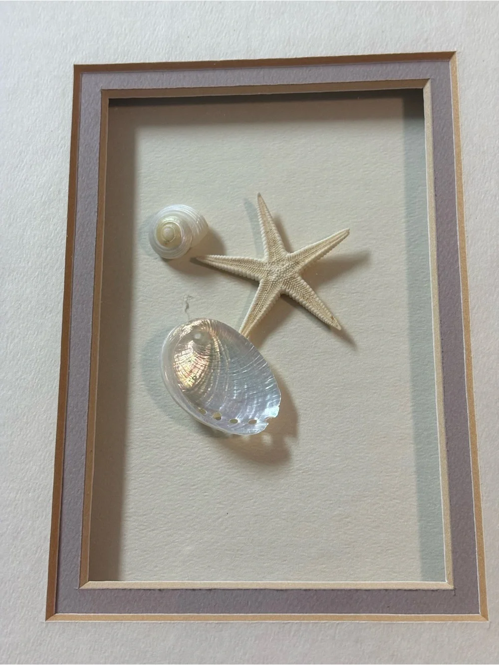 Coastal Triptych Seashell Shadowbox - Cream Framed Beach Art